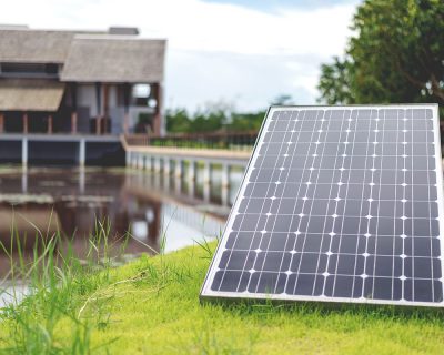 Reducing Our Carbon Footprint: Sustainable Sourcing Practices