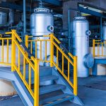 Innovation in Dairy: How We Stay Ahead of the Curve