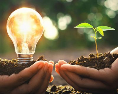 Sustainable Agriculture: Nurturing the Earth for Quality Crops