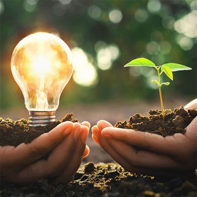 Sustainable Agriculture: Nurturing the Earth for Quality Crops