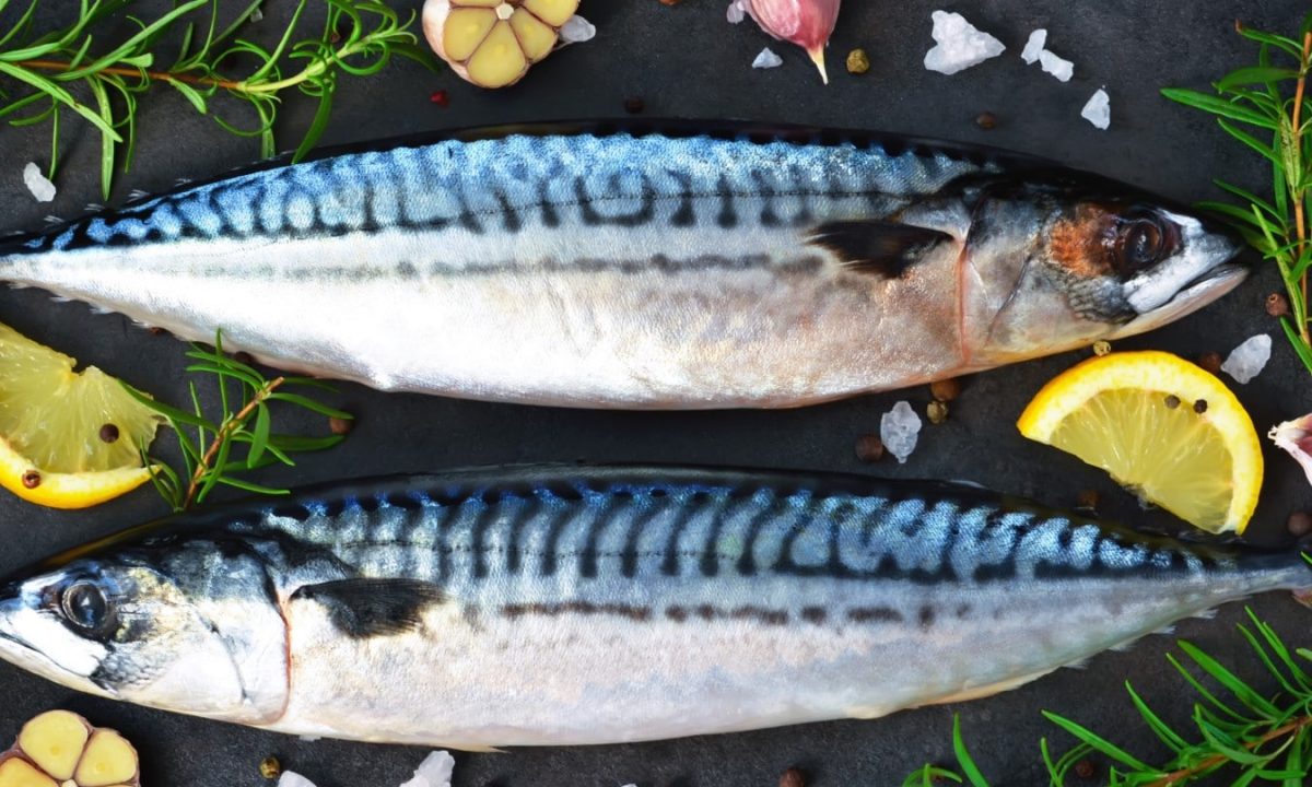 Seafood Sustainability: How We Make a Difference