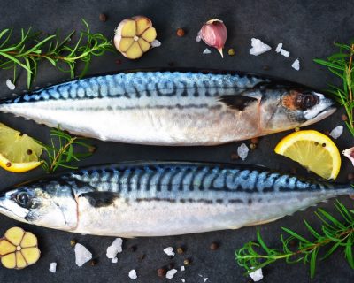 Mackerel/ Mackerel Filets