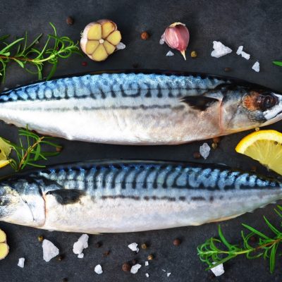 Seafood Sustainability: How We Make a Difference